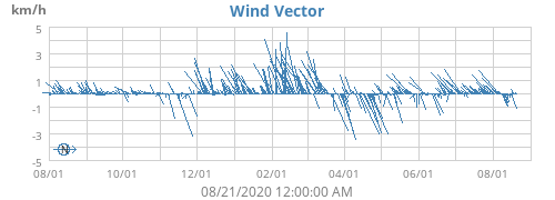 Wind Vector
